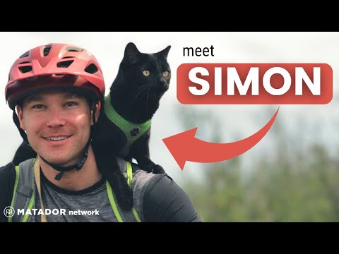 Meet the Most Adventurous Cat in the World | Simon & JJ Yosh