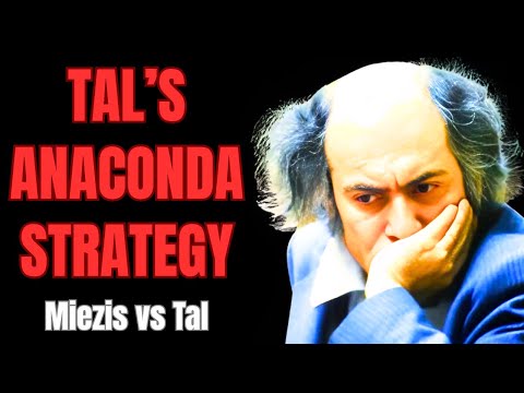 You’ve Never Seen Tal Win Like This – Chess Strategy Lesson