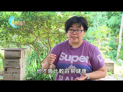 【桃園龍潭】蚯蚓養殖從科學實驗農場 創造健康的環境 | 有機無毒 | 336 | #美麗心台灣