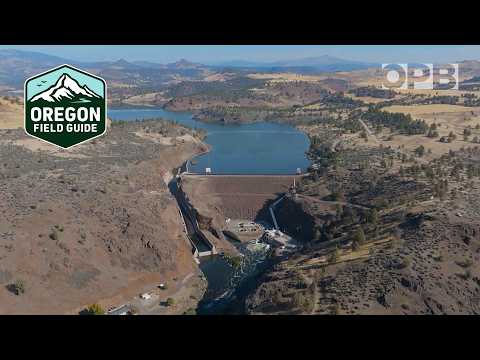 After the dams: What’s next for the Klamath River? | Oregon Field Guide