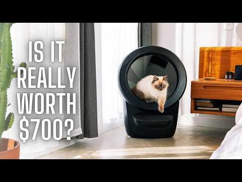 I bought the Litter robot 4. (So you don't have to.)