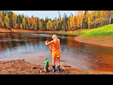 Relaxing in a Log Cabin in the Northern Forest | Swimming in a Cold Lake