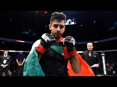 Rise of Yair Rodriguez