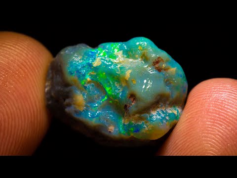 $500 Purchase turns insane profit?