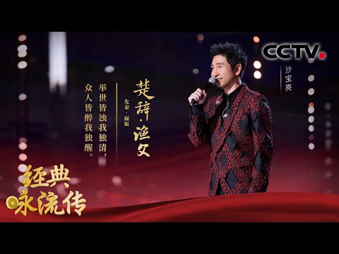 沙宝亮为你唱经典《楚辞·渔父》，用歌声“临摹”屈原自白 | CCTV「经典咏流传 第四季」