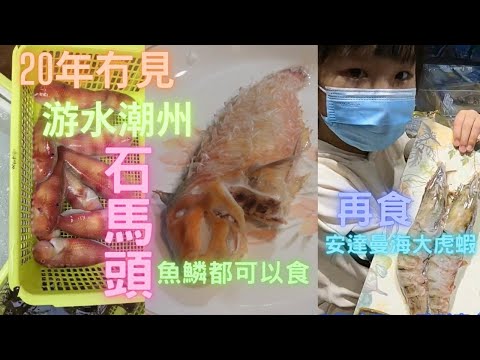 20年幾年前味道🥹游水潮州石馬頭😍絕跡多年,得冰枱有🫣只有游水至食得出真正鮮味,可以話唯一清蒸連魚鱗都可以食的魚🤤再次安達曼海大虎蝦,煮西餐真係一流~香港海鮮~社長遊街市Seafood