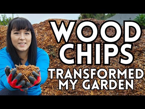 How To Use Wood Chips In The Garden & Build Healthy Soil #woodchips #garden #gardeningtips #plants