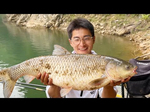 探钓水库垂钓巨物!第一天就钓上百斤草鱼,这下饿不到了!【小宋野钓】