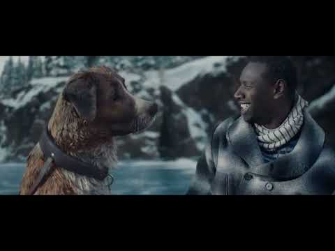 Alan Walker - The True Leader (Part. 02)