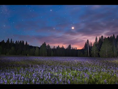 היפנוזה לשינה עמוקה | מוסיקה מרגיעה לשינה עמוקה ולהירדמות עם מסרים מרגיעים ומעוררי שינה