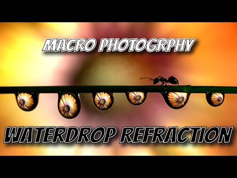 Macro Photography | Water Drop Refraction. Can't get out for landscape photography? Try This.