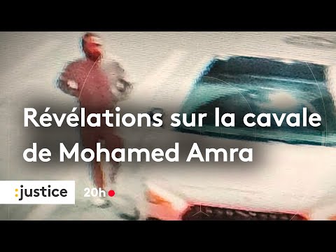 Exclu : révélations sur la cavale de Mohamed Amra