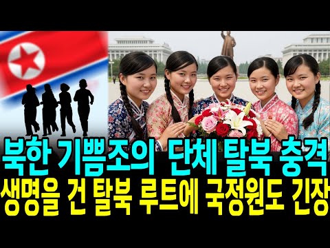 북한 기쁨조의 실체, 탈북민이 말하는기쁨조 증언, 탈북자, 충격적인 탈북자의 증언,