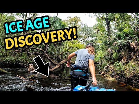 Hunting for Ice Age Gold: The Hidden Fossils of Florida's Riverbanks!