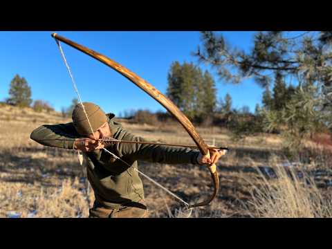 Building a PRIMITIVE BOW from a TREE - Start to Finish Survival Bow