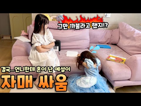 결국 참다가 폭발한 예콩이.. 예설이가 까불다가 언니한테 혼났어요