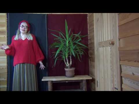 БЕЖАТЬ ЗА МУЖЧИНОЙ ОГНЕОПАСНО! ОПЫТ МОЕЙ УЧЕНИЦЫ (Ermakova-kaif)