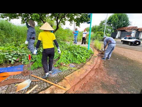 No one believed I volunteered to CLEAN UP the whole neighborhood for FREE… until they saw it!