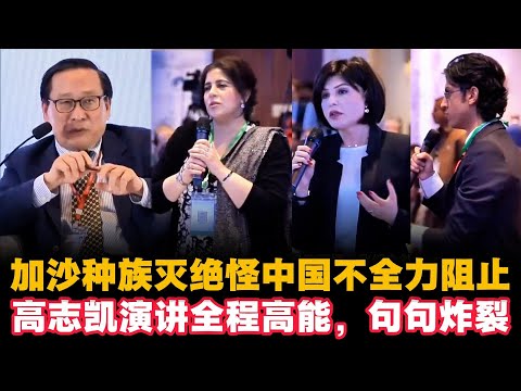 🔥加沙种族灭绝怪中国不全力阻止？高志凯演讲全程高能，句句炸裂|高志凯|Victor Gao|