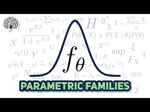 Explaining Parametric Families | VNT #2