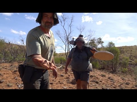 Another half kilo from the Pilbara