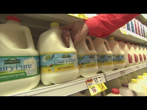 Trump administration must fund SNAP payments during the shutdown, judges rule: Latest updates