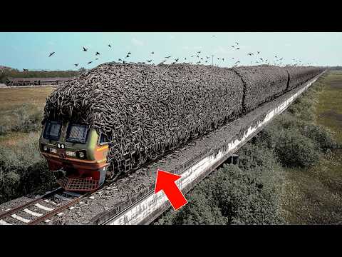 Momentos Increíbles de Trenes Captados por las Cámaras