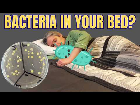 I Didn't Change My Sheets For 10 Days, Then Bacteria Tested Them!