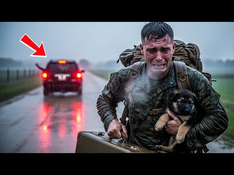 Siblings Abandoned a U.S. Marine with a German Shepherd... Not Knowing What Was in His Bag