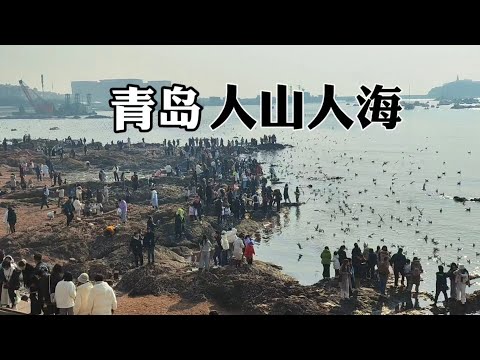 青島已經被外地人擠爆了! 人山人海! 這裡被評為中國最宜居的城市! 你認同嗎? 青島有膠州灣大橋,世界第二大跨海大橋。 青島也是青島啤酒的原產地