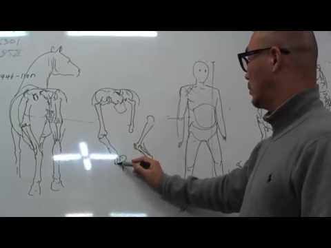 Lecture of anatomy and perspective  Kim Jung Gi and Insang Hwang
