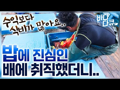 진짜 계속 드시는 울릉도 선장님.. 밥 하나는 기가 막힌 독도새우잡이 배에 취직했더니 / #바다다큐