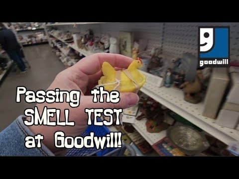 Passing the Smell Test at Goodwill! - Shop Along With Me - Goodwill Thrift Store