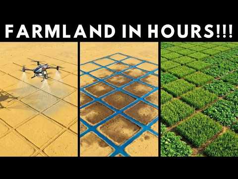 How Scientists Turned Desert Into Farmland With One Simple Trick — Nobody Expected This