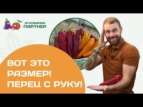 Перцы для цельноплодного запекания и фаршировки