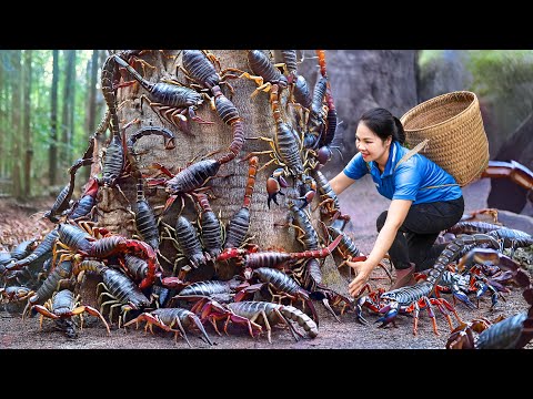 Harvesting Dragon Scorpion & Goes Go to Market Sell | The most poisonous scorpion in the world