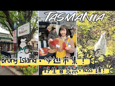 【Tasmania Ep.3】澳洲-塔斯馬尼亞• Bruny Island遇見白袋鼠！Hobart假日市集特色食物?  來塔州居然住膠囊旅館！逛超市攻略｜Melofunplay 美樂玩不累