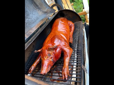 How to Smoke a Whole Suckling Pig Start To Finish  | Traeger