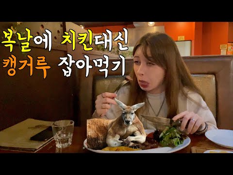 복날에 캥거루고기와 악어고기로 몸 보신하는 프랑스 아내 [호주]