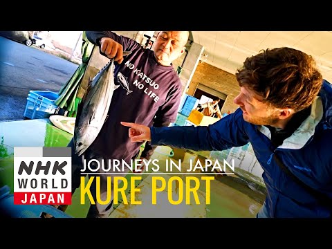Kure Port, Kochi: The Lure of Katsuo - Journeys in Japan