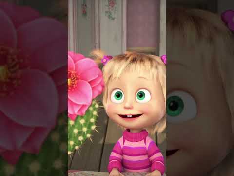 J'ai hâte que le printemps arrive...🌸 #Shorts #SousLeSoleilDuMexique #mashaetmichka #mashaandthebear