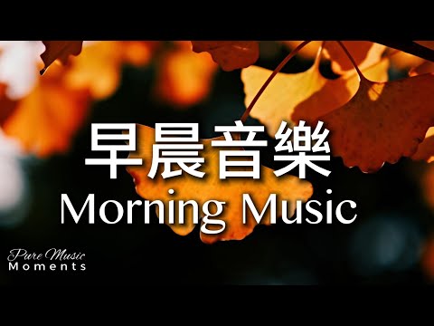 秋天早晨音樂時光 | ✨銀杏秋光鋼琴音樂 1小時｜早晨療癒旋律｜放鬆・專注・冥想｜讀書・工作・靜心｜鋼琴、水晶音樂｜寧靜・柔亮・暖心旋律 #morningmusic