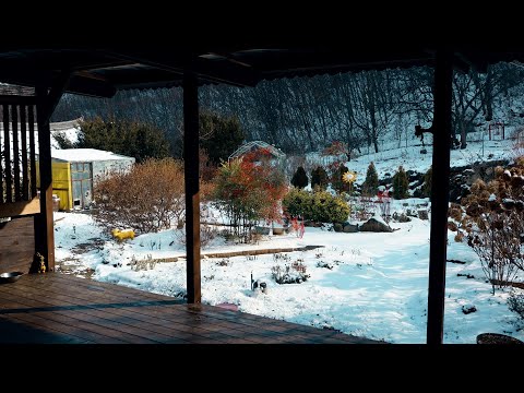 Simple and leisurely Korean countryside life even in a snowstorm~!!