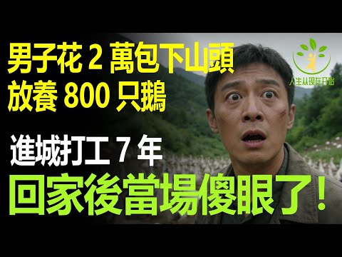 男子花2萬包下山頭放養800只鵝，進城打工7年，回家後當場傻眼了！