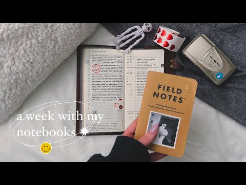 a week with my notebooks | hobonichi x field notes (ep. 2) ✸