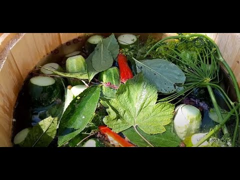 БОЧКОВЫЕ ОГУРЦЫ  ПО СТАРИНКЕ В ХОЛОДНОЙ ВОДЕ БЕЗ УКСУСА НА ЗИМУ/ ВКУСНО ХРУСТЯТ @obovsemsmarusya