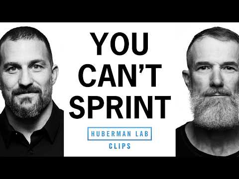 Speed Workout to Improve Longevity at Any Age | Dr. Andrew Huberman & Stuart McMillan
