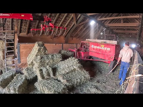 Тюкуємо старе сіно. Робота на фермі у Швейцарії.