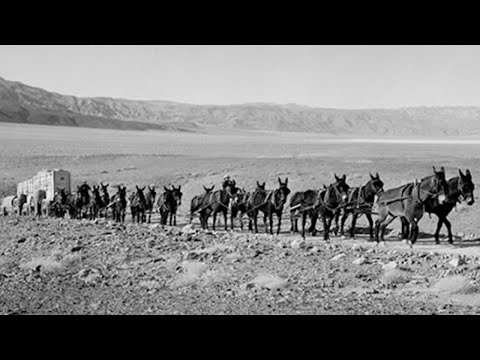 Engineers Said Steam Would Replace Mules in Death Valley—Then the Mules Towed the Engine Home
