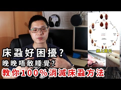 【加嵐】床蝨好困擾 ? 晚晚唔敢瞓 ? 教你了解床蝨及100%消滅方法 !!